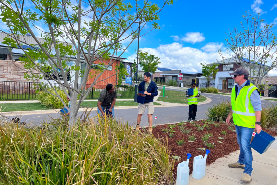 People working on garden