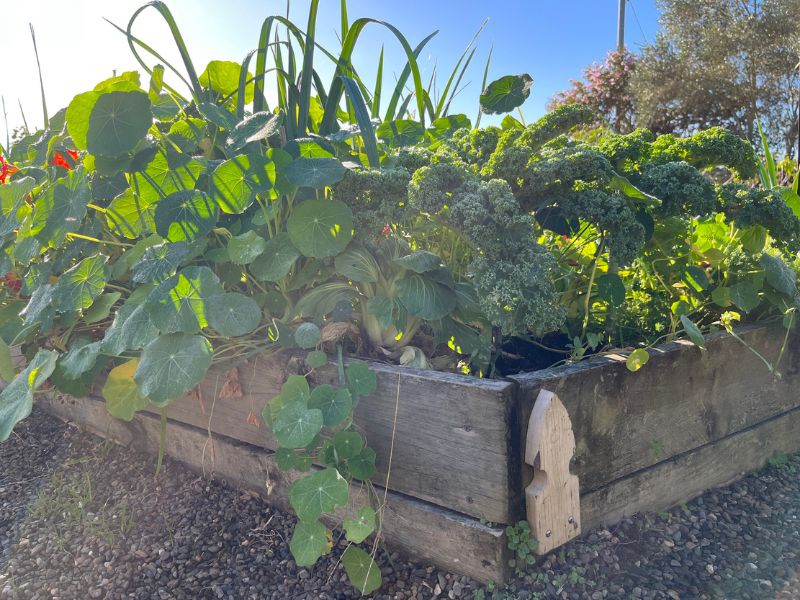 Garden bed