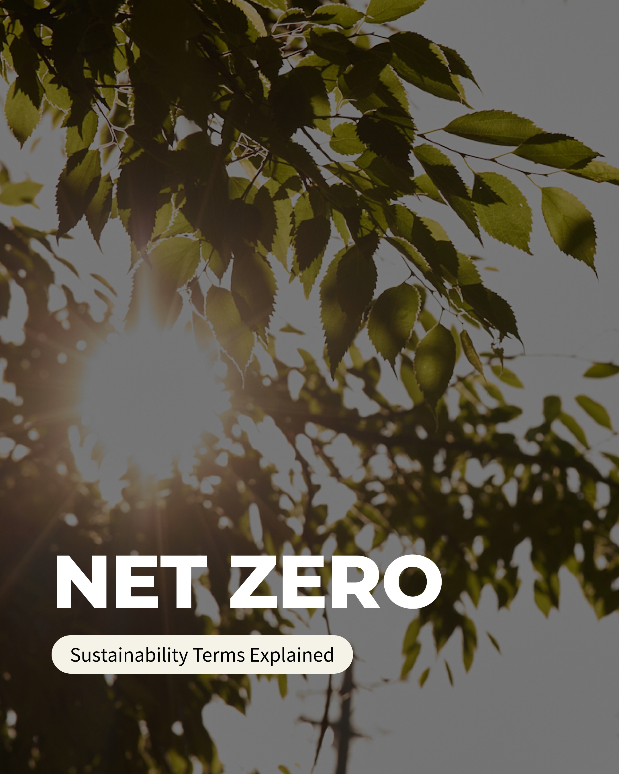 NetZero_01