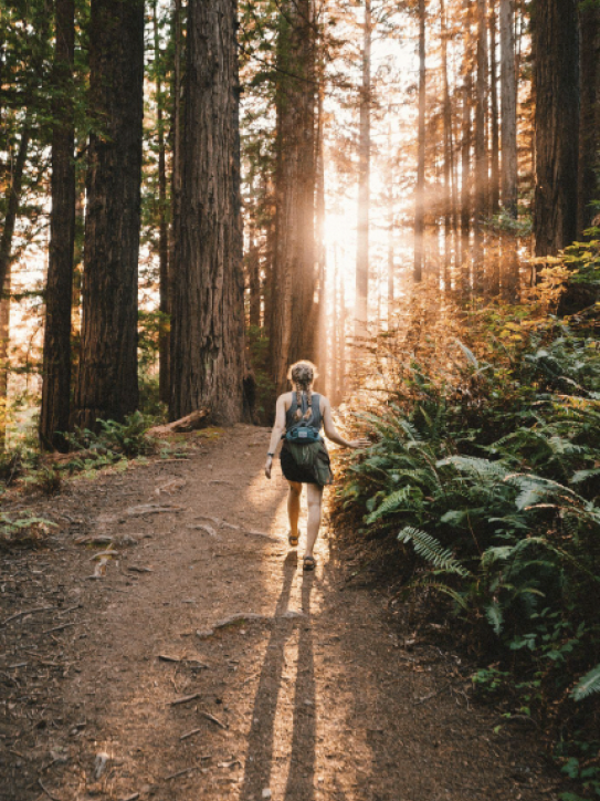 Walking through the woods