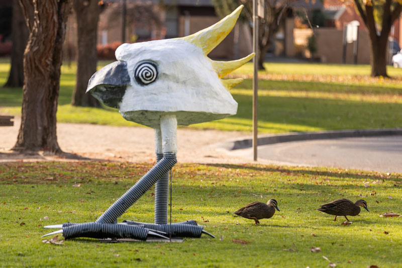 Image of cockatoo sculpture