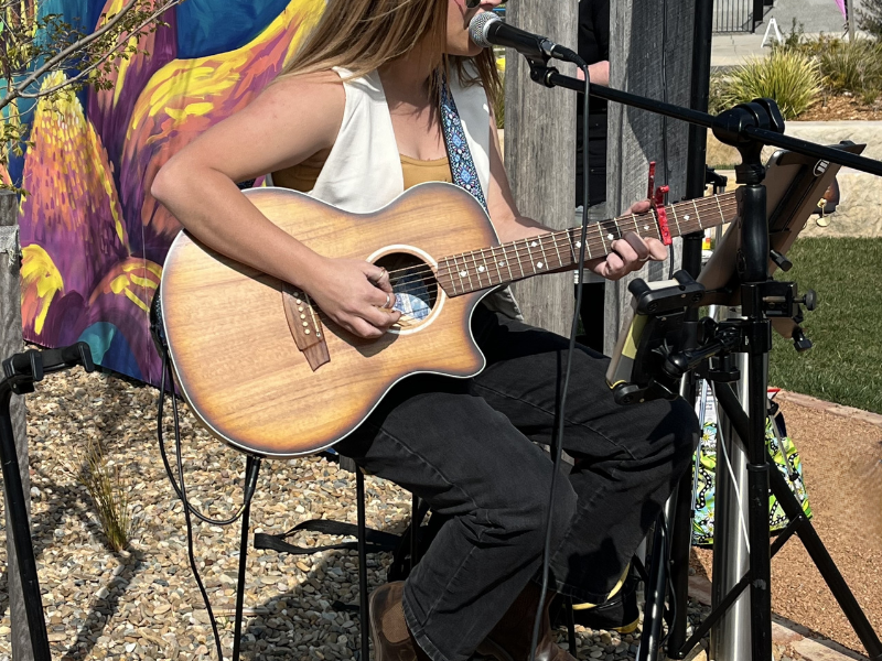 Artist with guitar