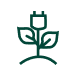 Plant Plant