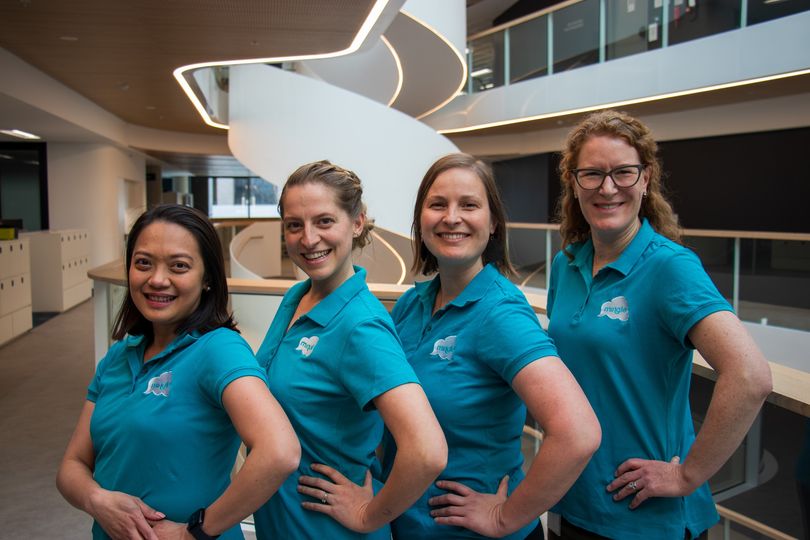 mingle-team