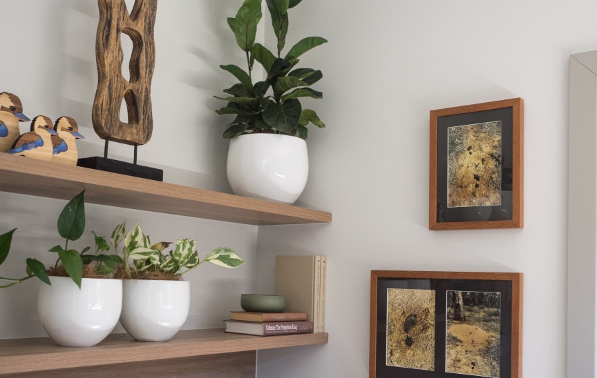 Photo of shelves holding ornaments and plants, and two photo frames hanging on the wall featuring photographic artwork by Amelia Zaraftis at the Display Village in Whitlam.