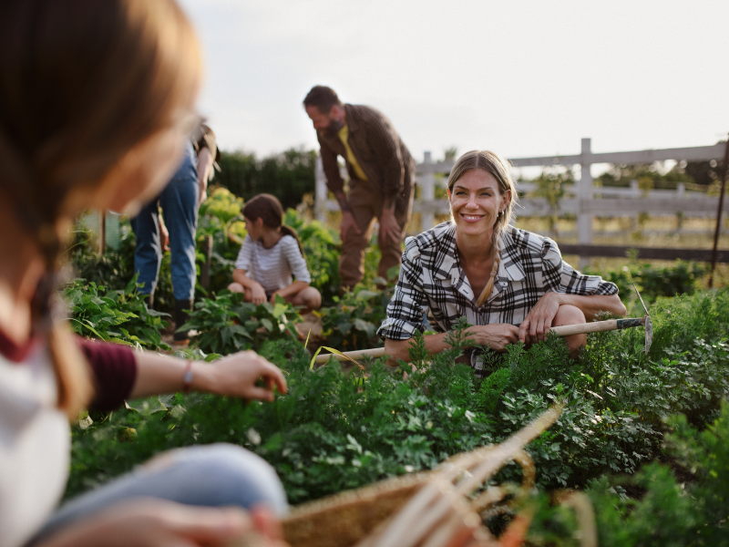 Stock image of people in greenfields