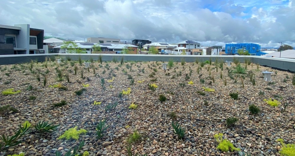 green roof